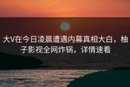 大V在今日凌晨遭遇内幕真相大白，柚子影视全网炸锅，详情速看