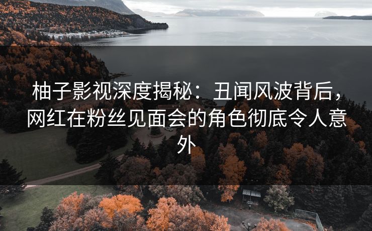 柚子影视深度揭秘：丑闻风波背后，网红在粉丝见面会的角色彻底令人意外