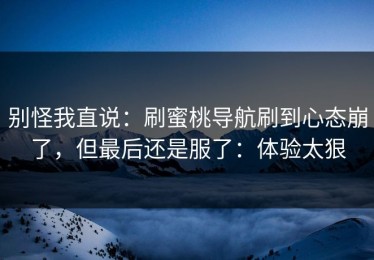 别怪我直说：刷蜜桃导航刷到心态崩了，但最后还是服了：体验太狠