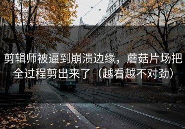 剪辑师被逼到崩溃边缘，蘑菇片场把全过程剪出来了（越看越不对劲）