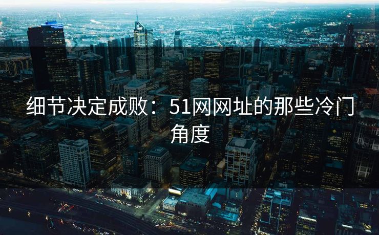 细节决定成败：51网网址的那些冷门角度